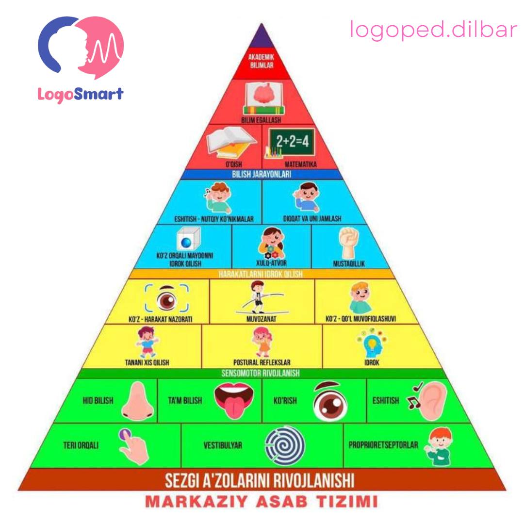 Rivojlanish piramidasi bu qanday klasifikatsiya?
